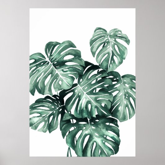 Monstera Deliciosa Blätter Poster (Vorne)