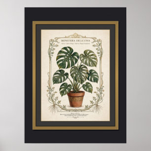 Monstera Deliciosa Vintage-Botanikposter gerahmt Poster