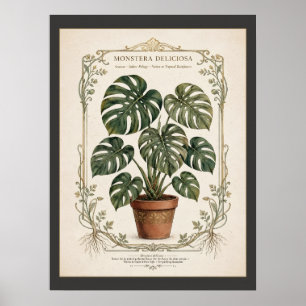 Monstera Deliciosa Vintage-Botanikposter mit Passe Poster