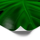 monstera deliciosa wall art poster (Ecke)