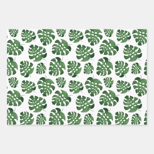 Monstera Geschenkpapier Set (Vorderseite)