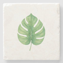 Monstera grünes Blatt