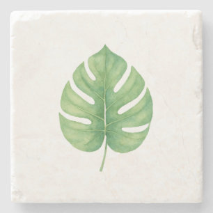 Monstera grünes Blatt Steinuntersetzer