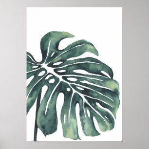 Monstera Leaf 4 Poster