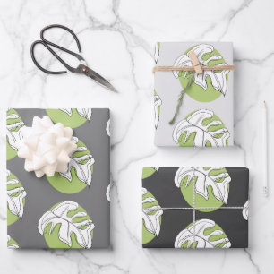 Monstera Leaf Abstrakte Pflanze Illustration Grau Geschenkpapier Set