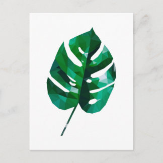Monstera Leaf Postcard Postkarte