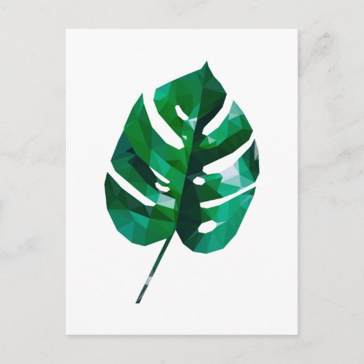 Monstera Leaf Postcard Postkarte (Vorderseite)