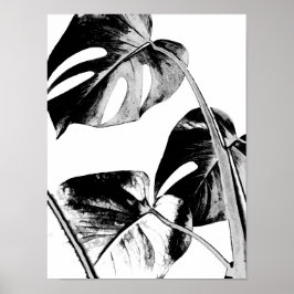 Monstera Palm Blätter tropisch schwarz-weiß Poster
