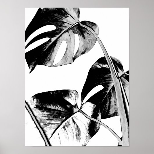 Monstera Palm Blätter tropisch schwarz-weiß Poster (Vorne)