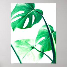 Monstera Palm Blätter Tropisches modernes Aquarell Poster