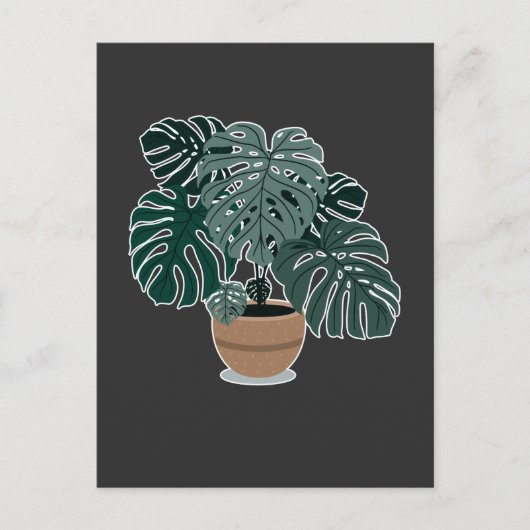 Monstera Pflanze Beautiful Houseplant Postkarte (Vorderseite)
