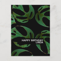 Monstera Pflanze Muster Illustration Leaf Geburtst