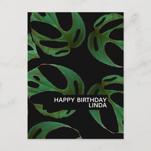 Monstera Pflanze Muster Illustration Leaf Geburtst Postkarte (Vorderseite)