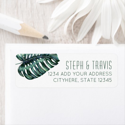 Monstera Pflanze Rücksendeadresse (Insitu)