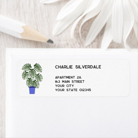 Monstera Rücksendeadresse (Insitu)