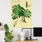 Monstera Schweizer Käse Botanisches Poster (Heimbüro)