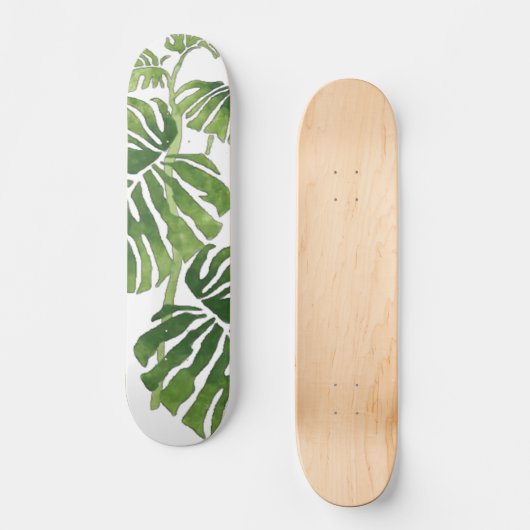 Monstera Skateboard (Vorderseite)