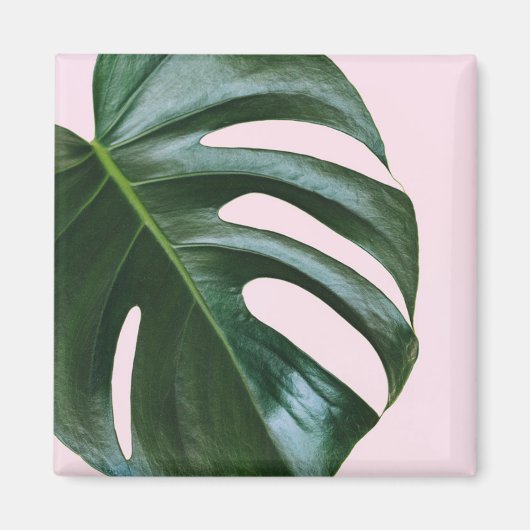 Monstera Tropical Leaf Magnet (Vorne)