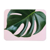 Monstera Tropical Leaf Magnet (Horizontal)