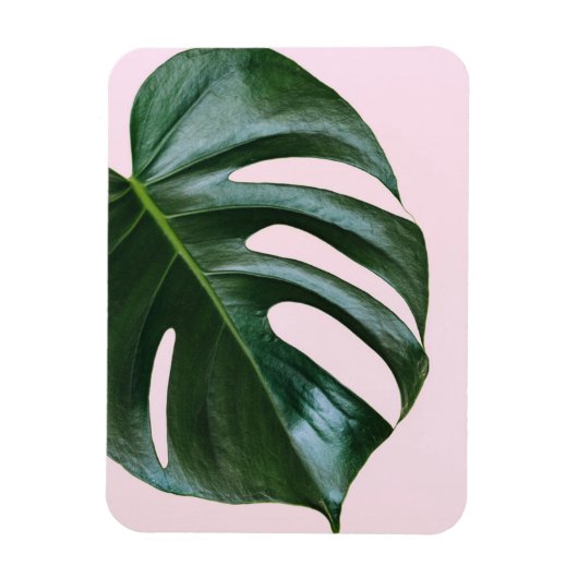 Monstera Tropical Leaf Magnet (Vertikal)