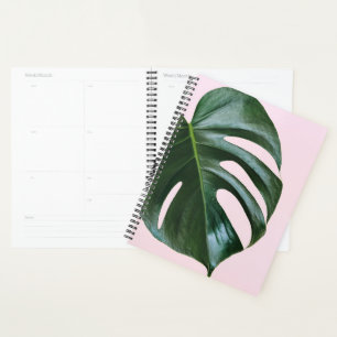 Monstera Tropical Leaf Planer