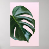 Monstera Tropical Leaf Poster (Vorne)