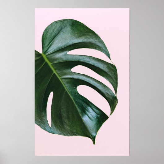 Monstera Tropical Leaf Poster (Vorne)