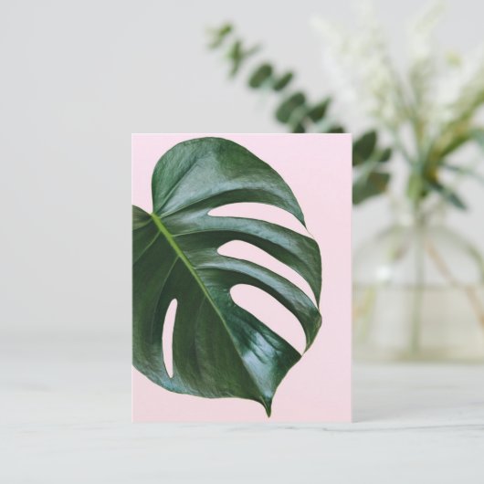 Monstera Tropical Leaf Postkarte (Stehend Vorderseite)