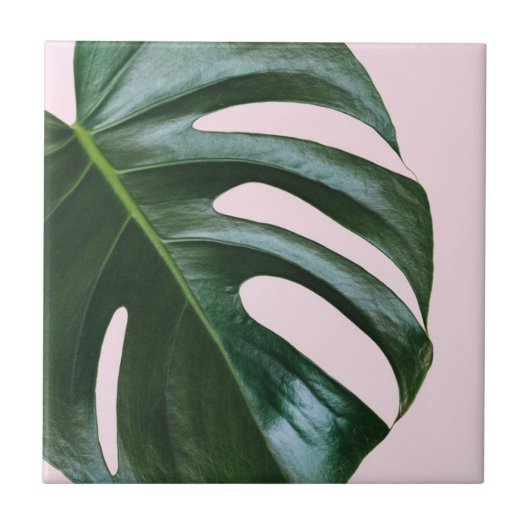 Monstera tropisches Blatt Fliese (Vorderseite)