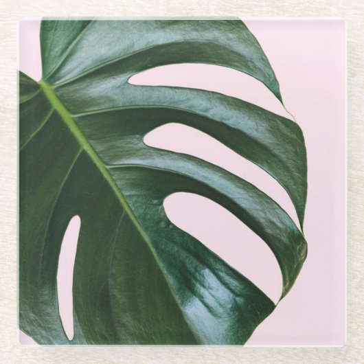 Monstera tropisches Blatt Glasuntersetzer (Vorderseite)