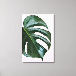 Monstera tropisches Blatt Leinwanddruck