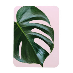 Monstera tropisches Blatt Magnet