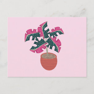 Monstera Variegata Rosa und Grüne Topfpflanze Postkarte
