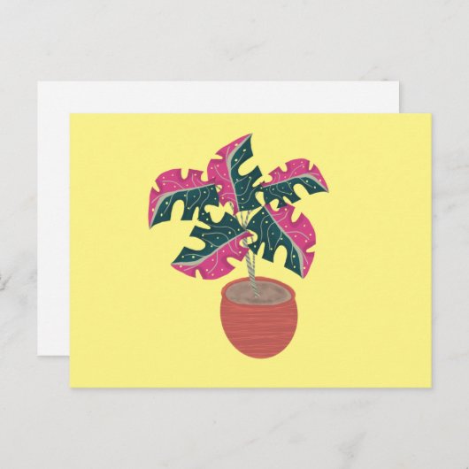 Monstera Variegated Pink and Green Potted Pflanze Postkarte (Vorne/Hinten)