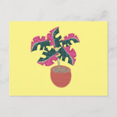 Monstera Variegated Pink and Green Potted Pflanze Postkarte (Vorderseite)