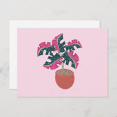 Monstera Variegated Pink and Green Potted Pflanze Postkarte (Vorne/Hinten)