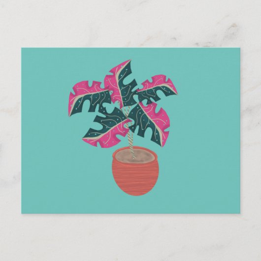 Monstera Variegated Pink and Green Potted Pflanze Postkarte (Vorderseite)