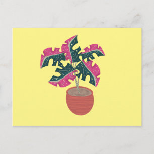 Monstera Variegierte Rosa und Grüne Topfpflanze Postkarte