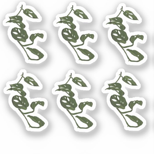 Monstera Vine Pflanze Zeichne Design Sticker (Vorderseite)