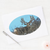 Monstermuschel Ovaler Aufkleber (Umschlag)