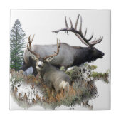 Monsterstier-Trophäedollar Fliese (Vorderseite)