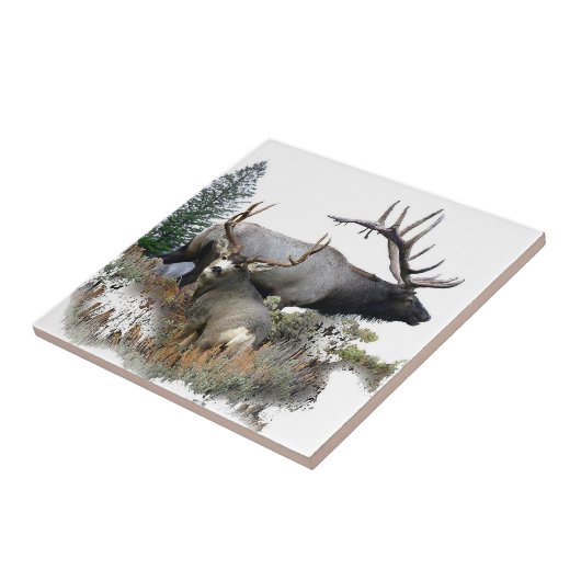 Monsterstier-Trophäedollar Fliese (Seite)