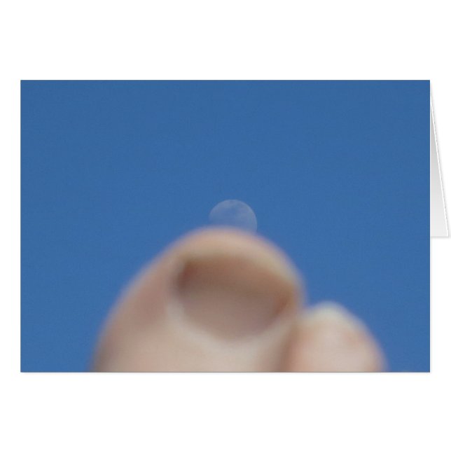 Monsun 2014 (Vorderseite (Horizontal))