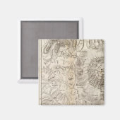 Mont Gibel, Ätna Magnet (Vorderseite/Rückseite)