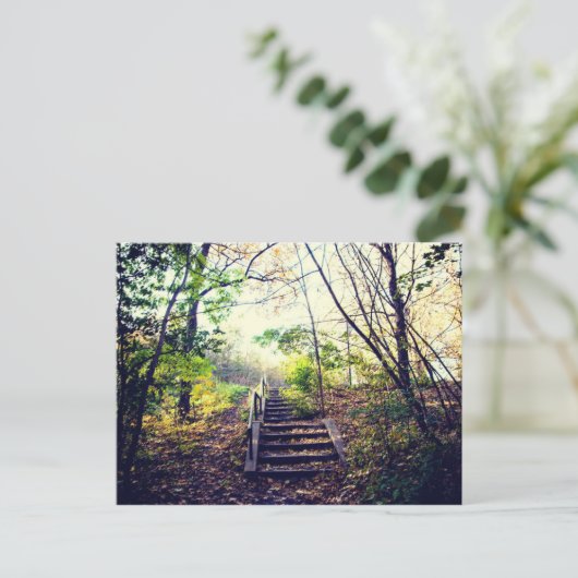 Mont-Royal Automne Postkarte (Stehend Vorderseite)