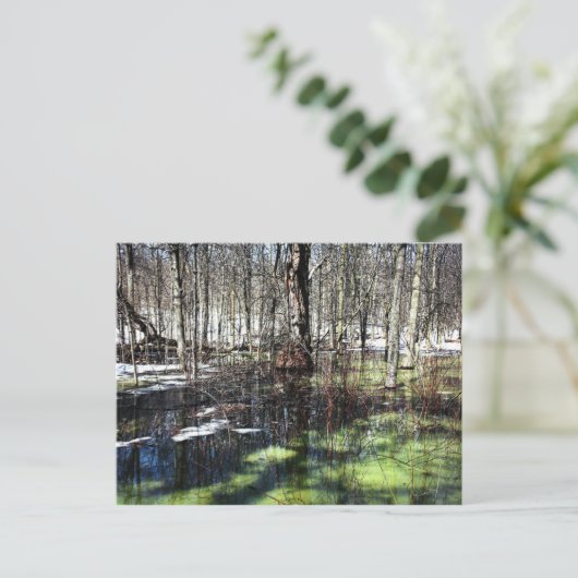 Mont-Royal Postkarte (Stehend Vorderseite)