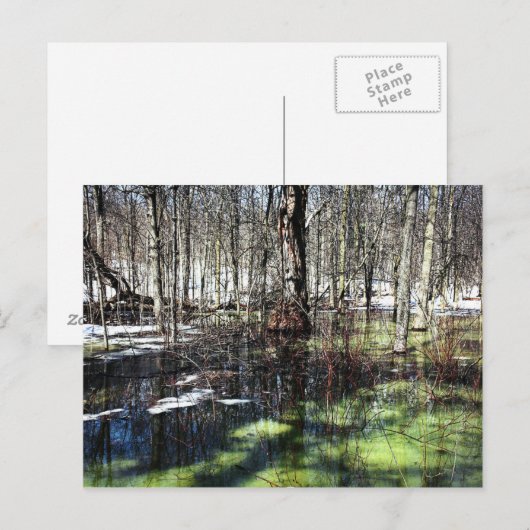 Mont-Royal Postkarte (Vorne/Hinten)