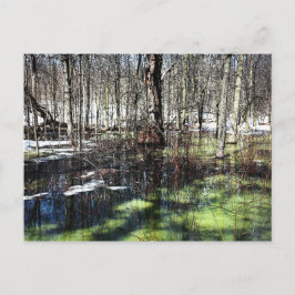 Mont-Royal Postkarte