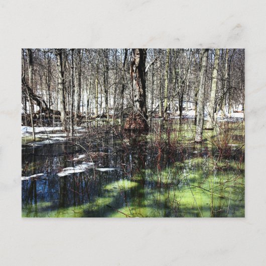 Mont-Royal Postkarte (Vorderseite)