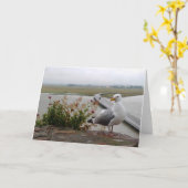 Mont-Saint-Michel Lookout, Normandie, Frankreich - Karte (Gelbe Blume)